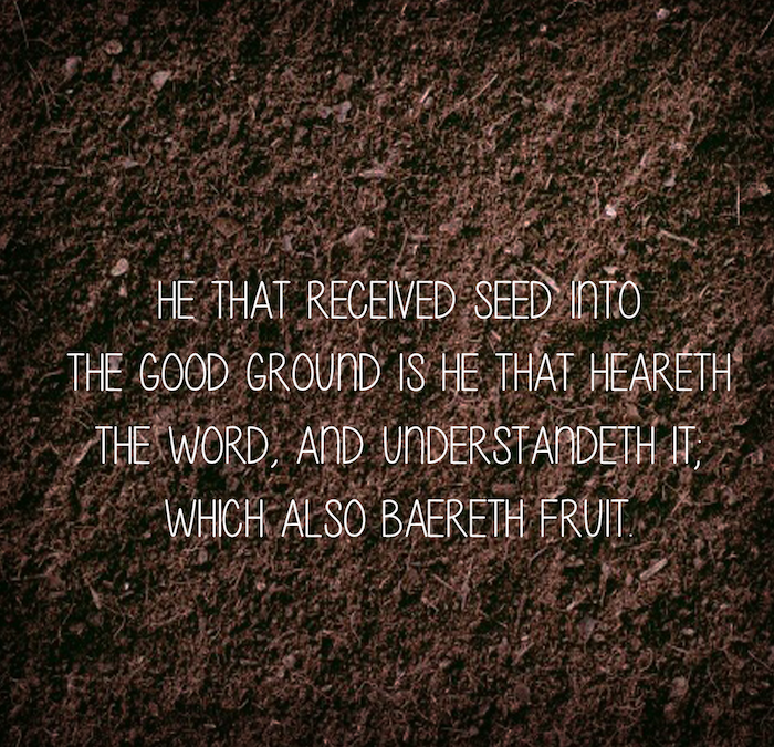 Spread the Good Word: Matthew 13:23