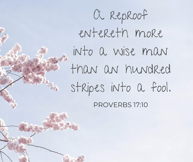 Spread the Good Word: Proverbs 17:10