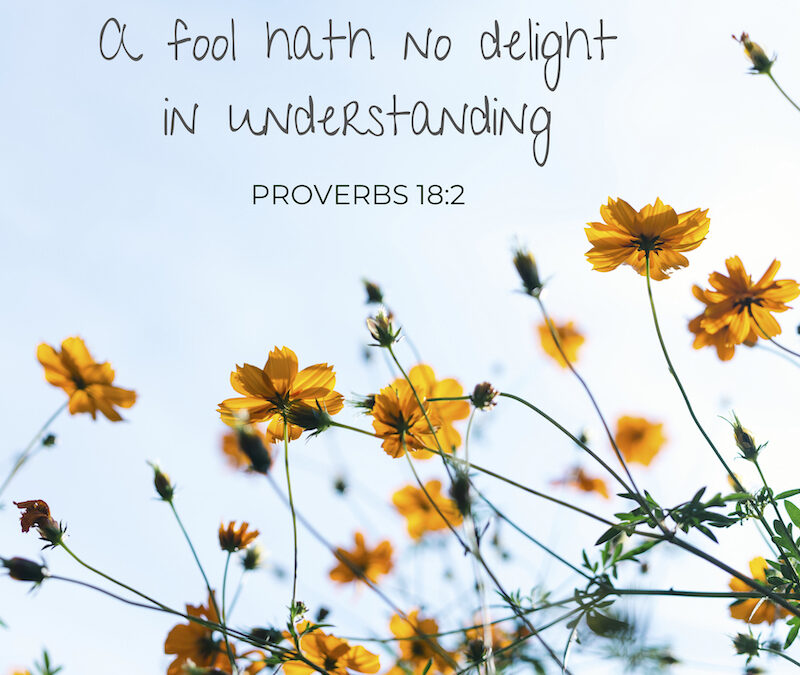 Spread the Good Word: Proverbs 18:2