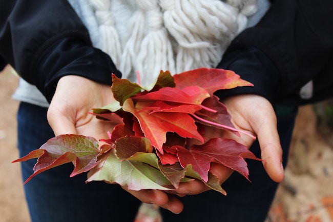 autumn_leaves_hand.jpg