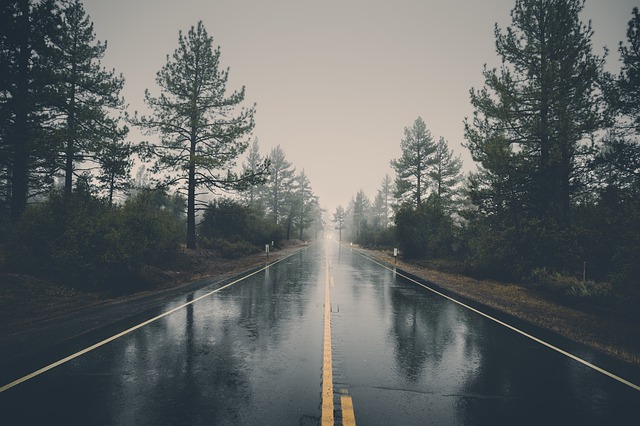 rainy_road.jpg