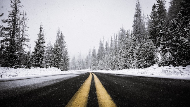 road_snow_pines.jpg