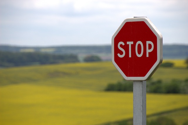 stop_sign_in_country.jpg