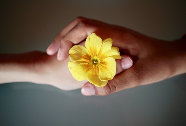 yellow_flower_hands.jpg